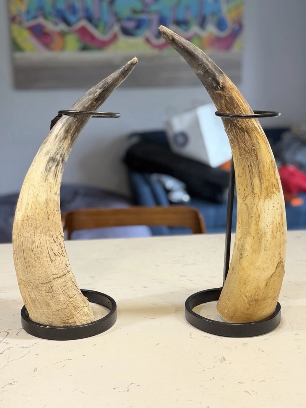 Vintage Rustic Natural Cattle Bull Horn - Custom Iron Display - Home Decor